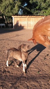 20160806_195831_resized