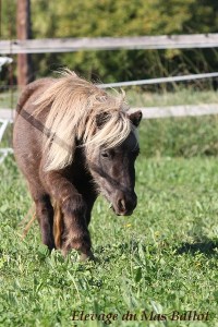 img_9383-bordermaker