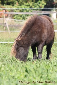 img_9428-bordermaker