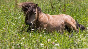 CSUC2016-06-06_00025