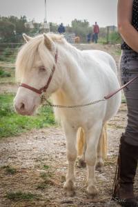 14479690_10207006297495433_9150233018919331034_n