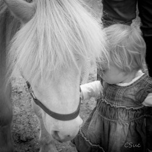 14572848_10207006303455582_7358970593915572487_n