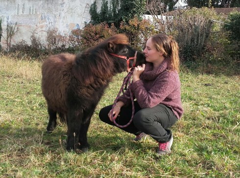 20161224_104159-1_resized