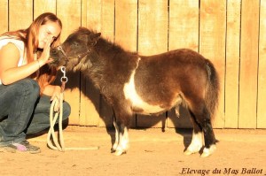 img_9348-bordermaker