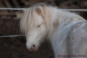 img_9441-bordermaker