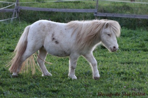 img_9515-bordermaker