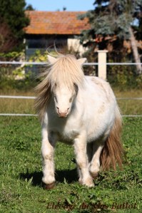 img_9666-bordermaker