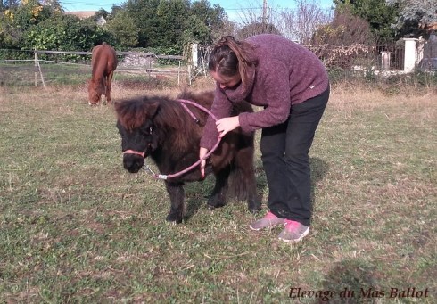 20161224_104359-1-bordermaker