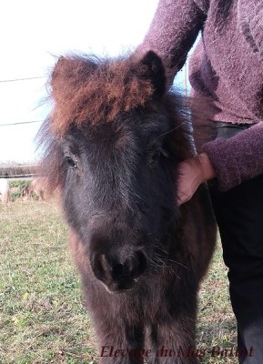 20161224_104600-1-bordermaker