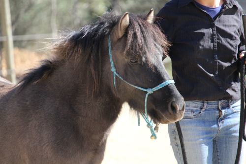 127529439_2160647290734522_5201570173399276386_n