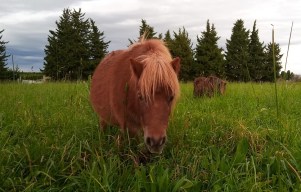 129758377_2168958673236717_2343390912804183824_n