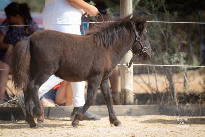 210815LalouetteConcoursMA01