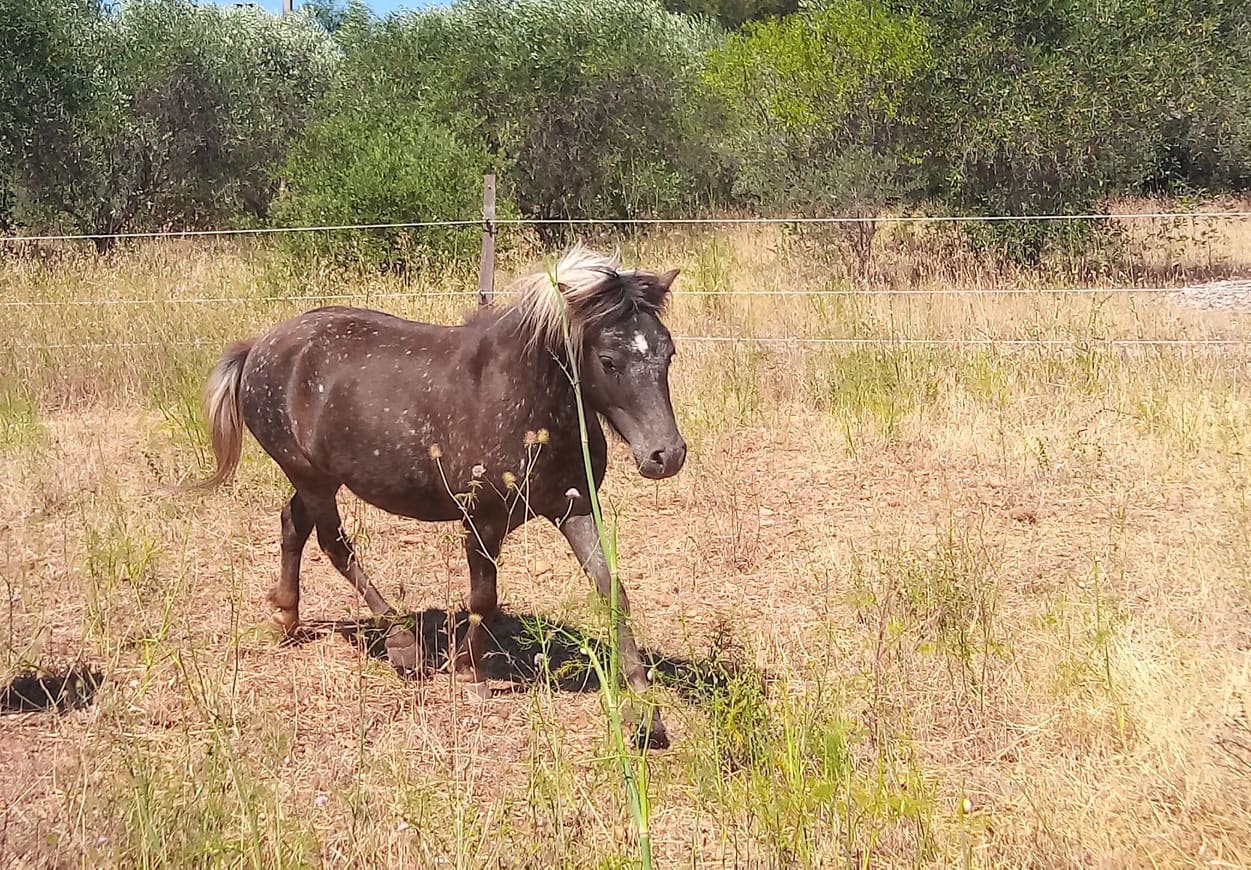 241817249_261304932663381_6918714491160922887_n