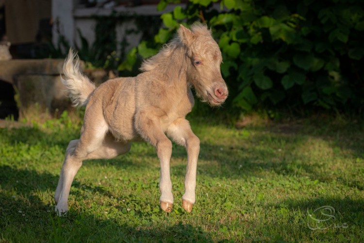 CSuc_2022-05-05_00006