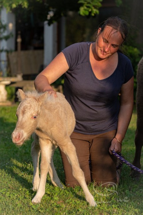 CSuc_2022-05-05_00015