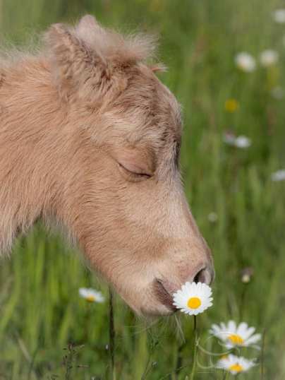 278490900_2580750758724171_8521338933876976410_n