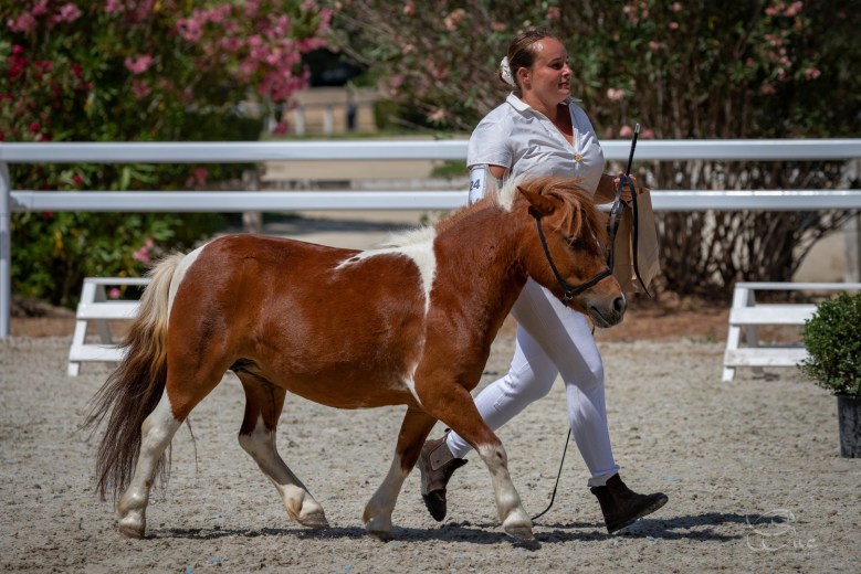 288477081_1185052002284993_1307319267796056307_n