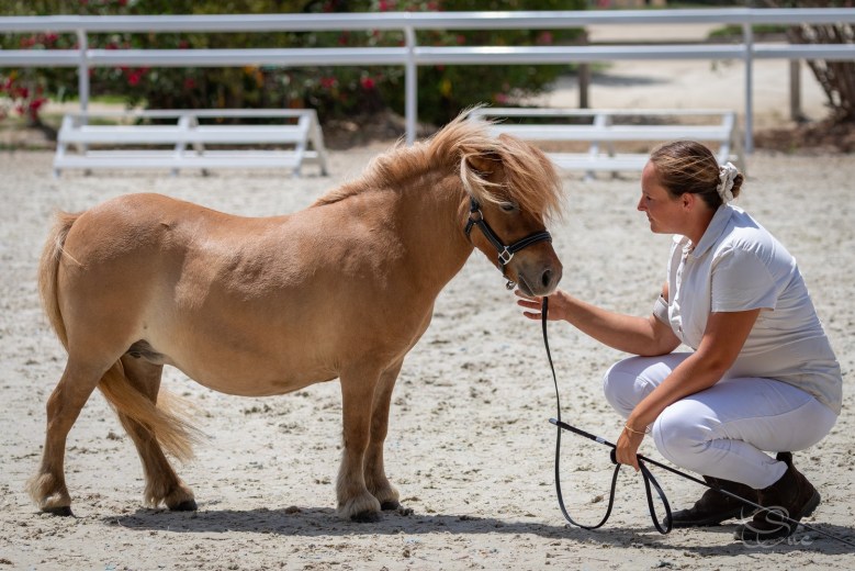 289431955_5112205322231132_5666321113096271995_n