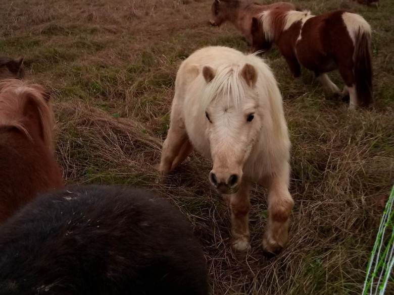 319326827_1288975018622531_1530193736275101216_n