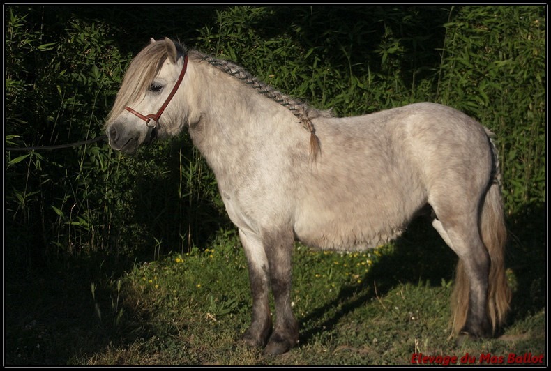 62485921_1630784887054101_2068420455496155136_n