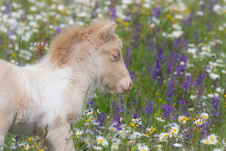 whatsapp-image-2023-04-14-a-08.49.08