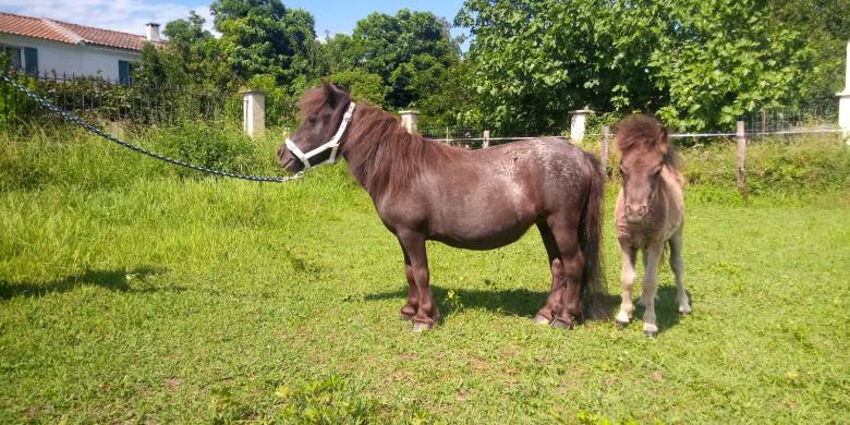 WhatsApp Image 2023-07-16 à 21.08.56