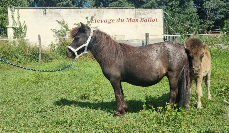 WhatsApp Image 2023-07-16 à 21.13.07