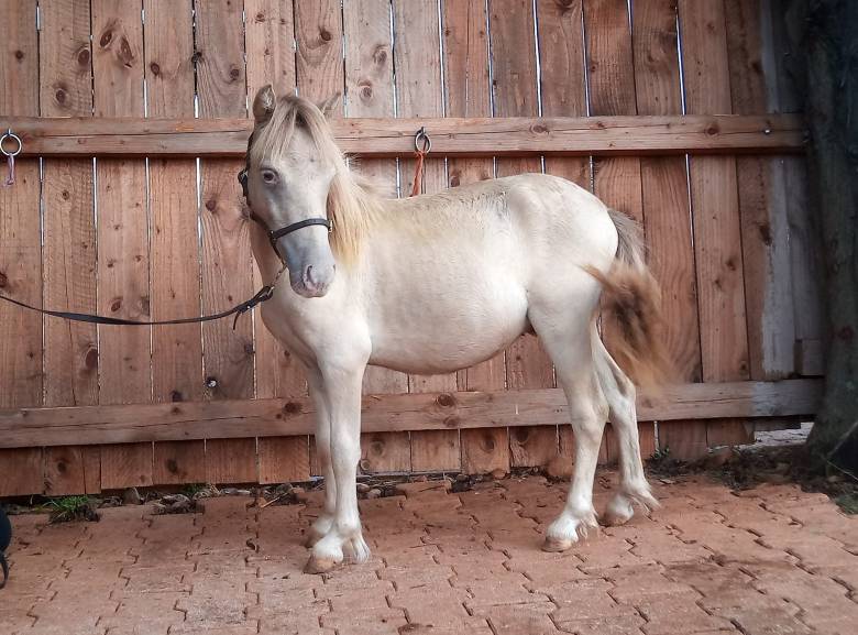 358432284_737663325029948_1351587460036944182_n