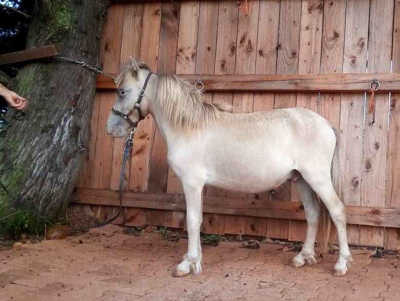 MoonriseProfilGauche