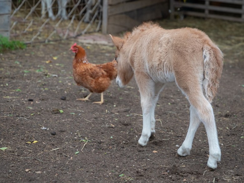 WhatsApp Image 2024-04-27 à 22.50.52_b8d85178