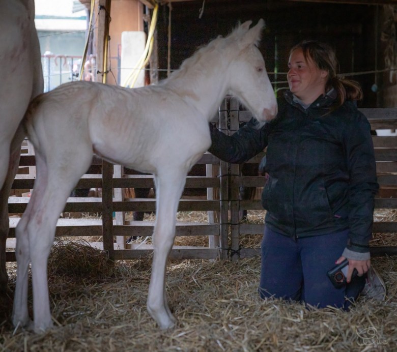 WhatsApp Image 2024-04-27 à 22.50.53_944e97c1