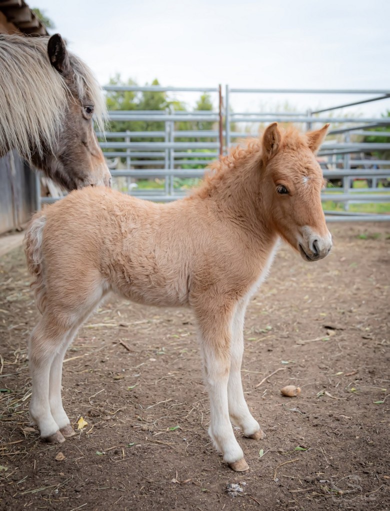 WhatsApp Image 2024-04-27 à 22.50.53_c68ef0f9