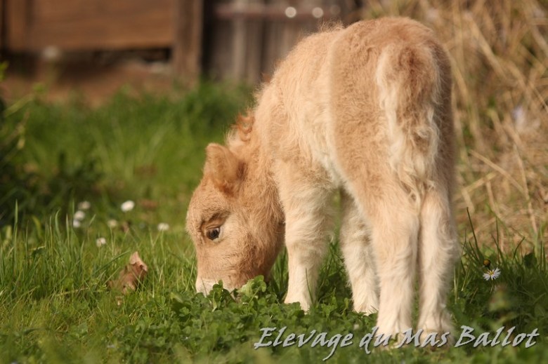 429666963_900350765427869_6497449829536667270_n