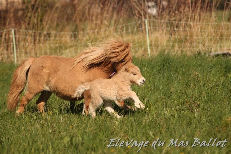 429985486_900351065427839_3706016663097629777_n