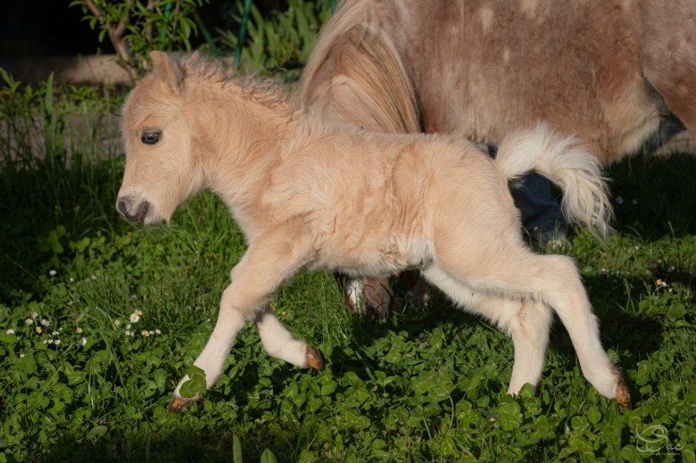 431766639_922473193220973_1995307886576163041_n