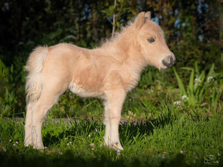 431791037_797957685529798_3966616758189307582_n