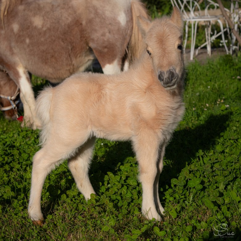 431985542_1607296840024767_7821912555509097259_n