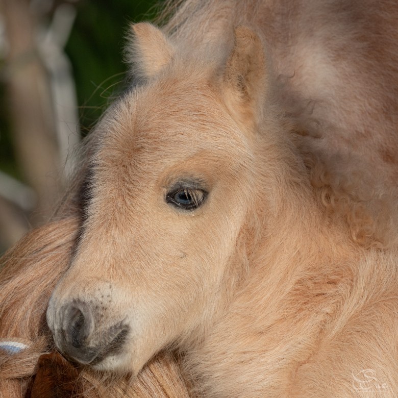 431992842_945115233594303_4801853614765356527_n