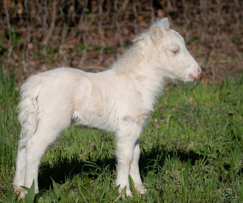 432222232_906522038144075_1235177095310519735_n