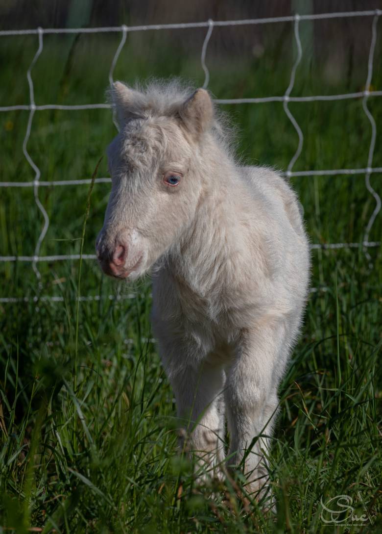 432302178_906522158144063_6234219275985305468_n